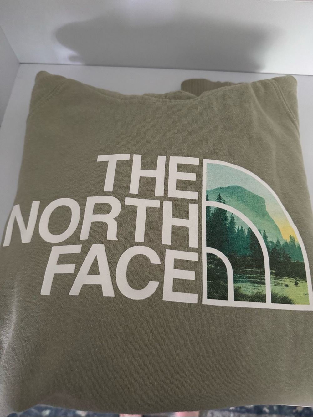 The North Face Olive Green Logo Graphic Sweatshirt